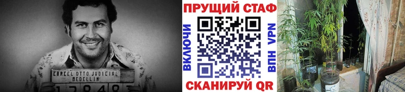 Купить наркотик аптеки Лермонтов ГАШ СОЛЬ мега как войти Меф Метадон