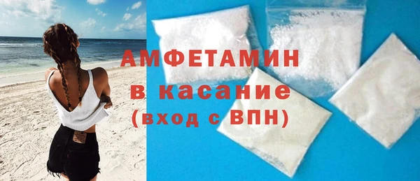 индика Алексин