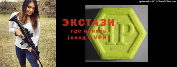 индика Алексин