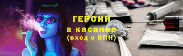 индика Алексин