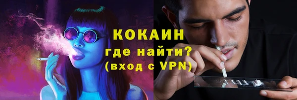 индика Алексин