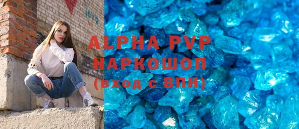 индика Алексин
