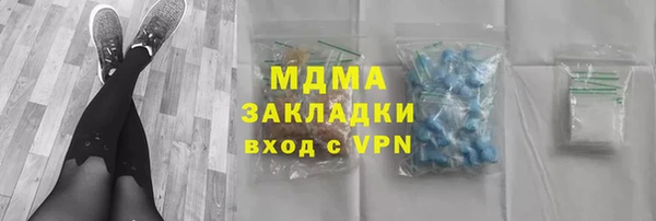 индика Алексин