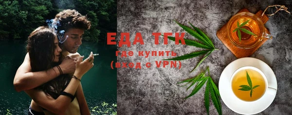 индика Алексин