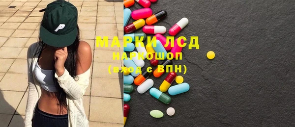 индика Алексин