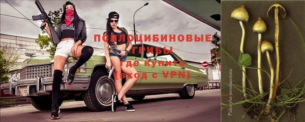 индика Алексин